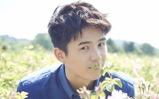 娱乐圈吃瓜陈姓男星都有谁,揭秘那些年我们追过的星